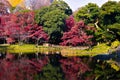 Japan historic red maple and bonsai garden Royalty Free Stock Photo